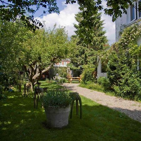 Achter Het Witte Huis อูเทรคต์ ภายนอก รูปภาพ